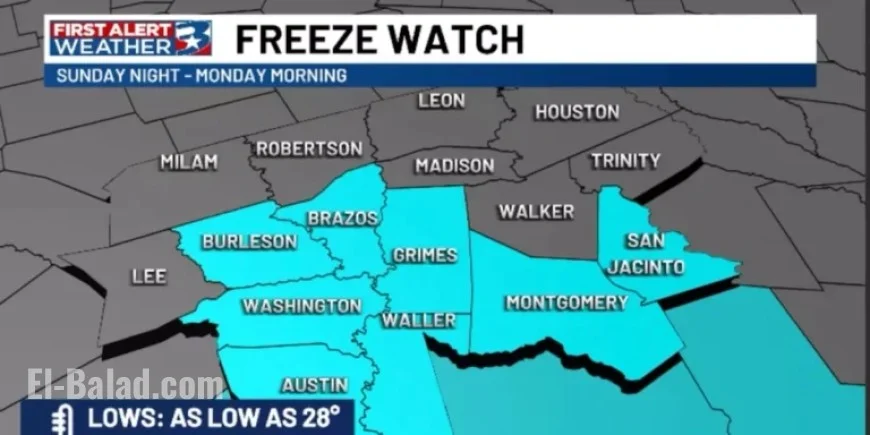 Sunday Night Forecast: Widespread Freeze Anticipated