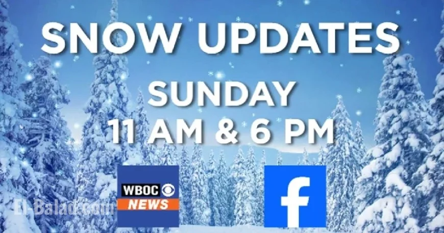 Snow Blankets Delmarva: Sunday Weather Update