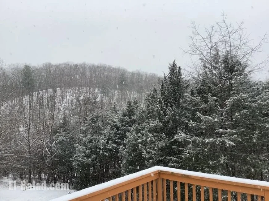 DC Faces Second Wave of December Snowfall and Freezing Temperatures