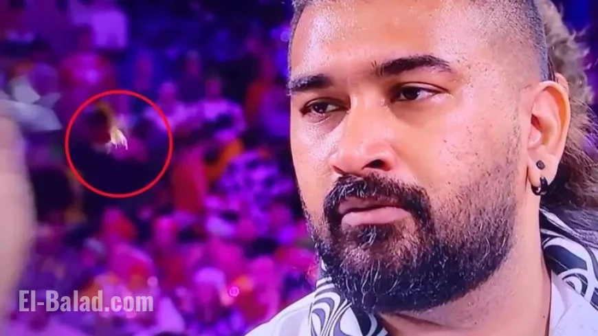 DART Strikes Notorious Ally Pally Wasp in Shocking Moment