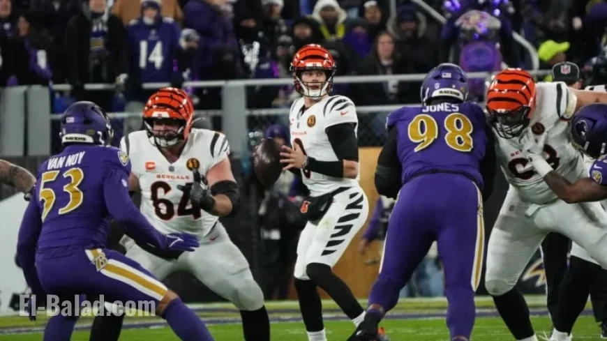 Ravens vs. Bengals to Clash in Frigid Conditions