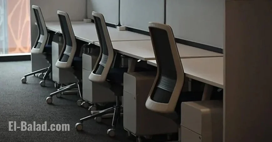 Prospects for Laid-Off Workers: What Lies Ahead?