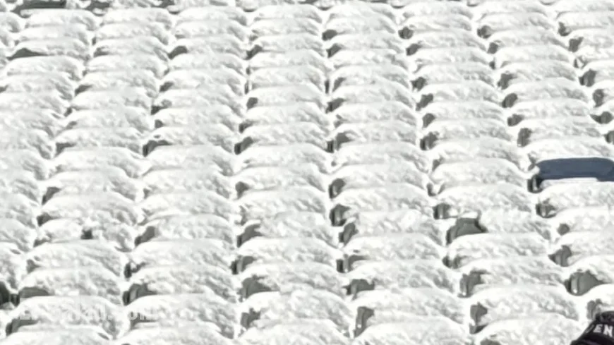 Bengals Violate League Policy by Neglecting Snow Removal from Stadium Seats