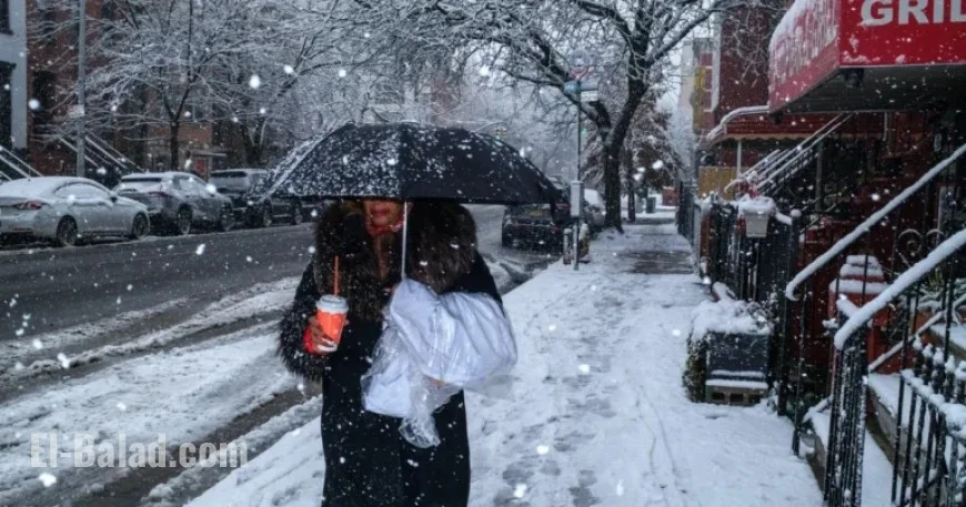 Northeast Sees Heavy Snowfall While Pacific Northwest Prepares for More Rain