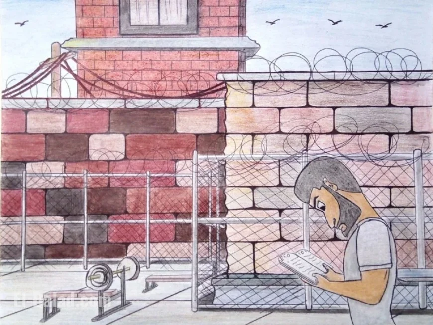 Transforming Inmates: How Education Unlocks Freedom in Prisons