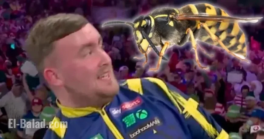 Ally Pally Wasp Thrills Darts Fans with Remarkable Recovery After Attack