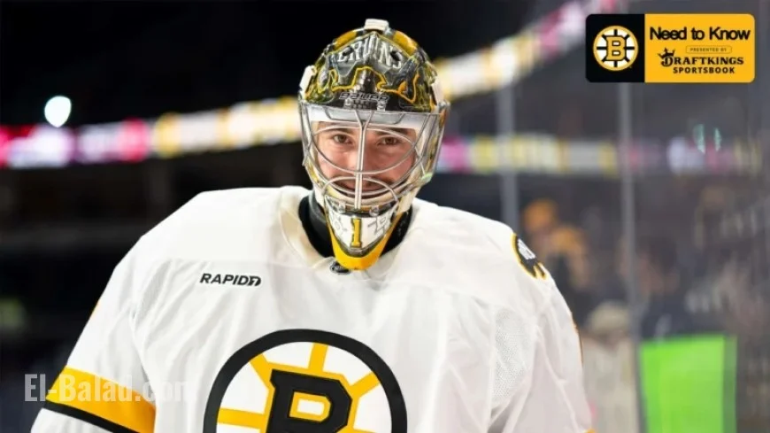 Bruins Face Off Against Wild: Key Match Highlights