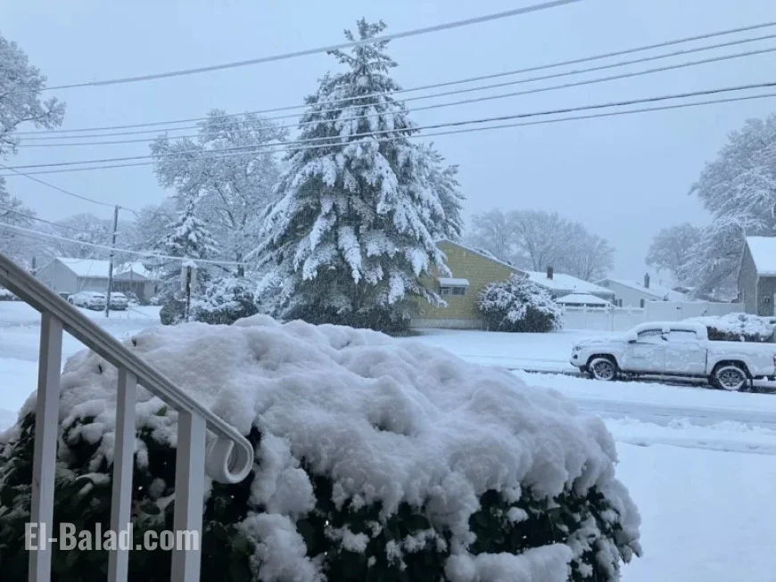 N.J. Snowfall Reaches 8 Inches in Areas: County Reports Inside