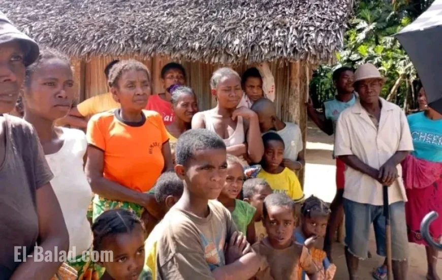 Vatomandry Advances Litchi Transformation Efforts