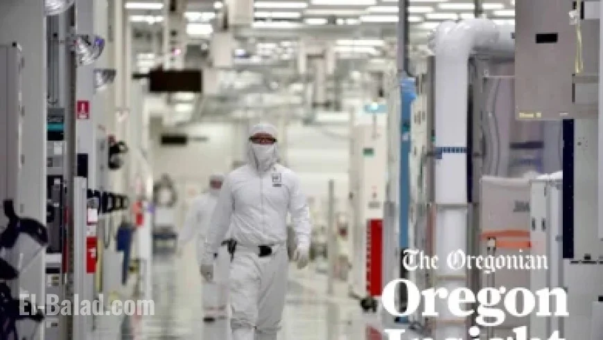 Egg Recall Issued Following Salmonella Outbreak Sickening Over 60 People