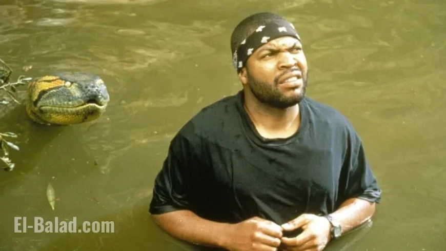 Ice Cube Hints at ‘Anaconda’ Cameo in ‘Full Circle’
