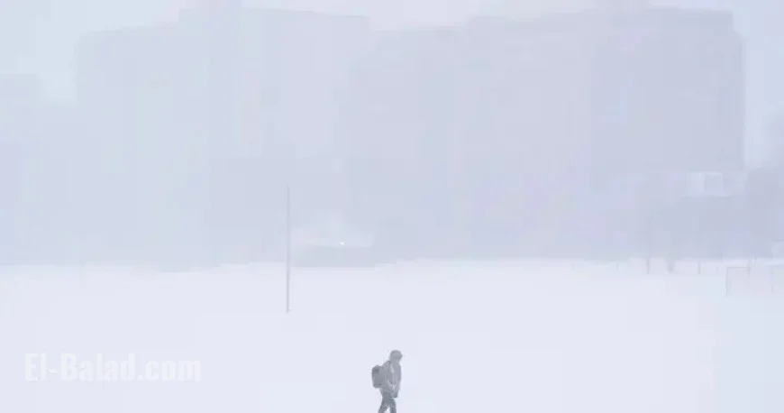 Canada Braces for Severe Winter Storms: Rain and Snow Forecasted