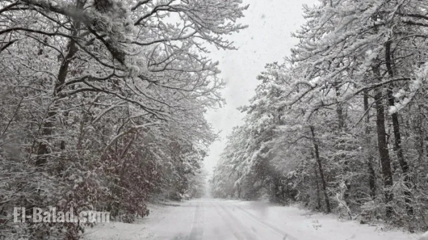 Snow Blankets Long Island: Slick Roads and Delays Hit LaGuardia, JFK