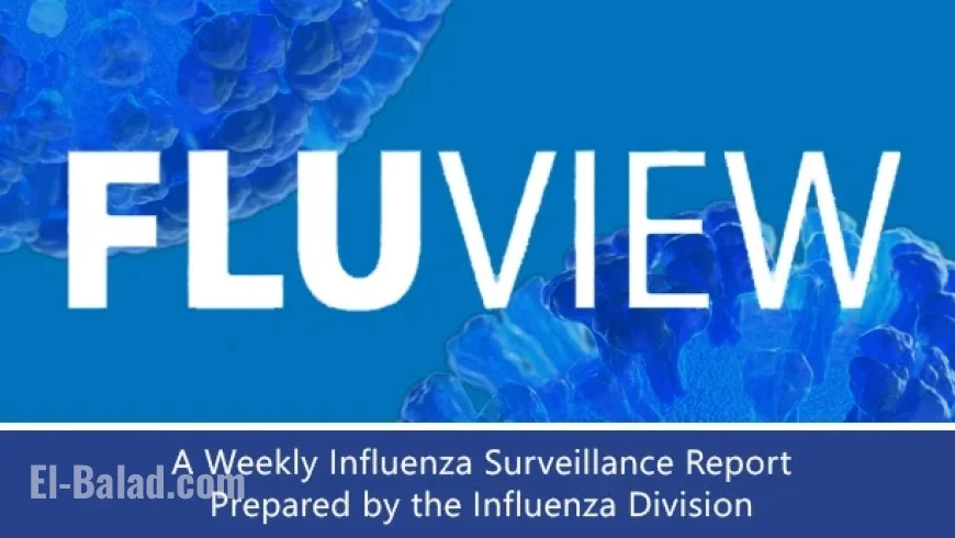 US Influenza Surveillance Report: Key Updates for Week 49, Dec 6, 2025