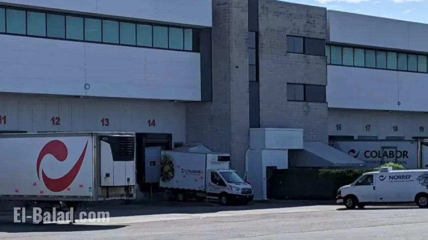 Colabor Group Nearing Bankruptcy