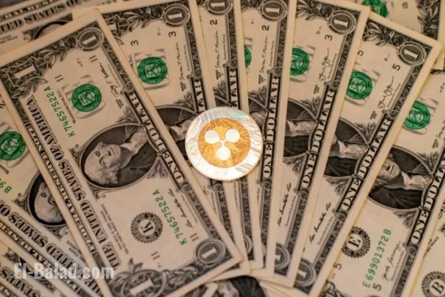 XRP ETF Marks Milestone with 30 Days of Positive Ripple Inflows