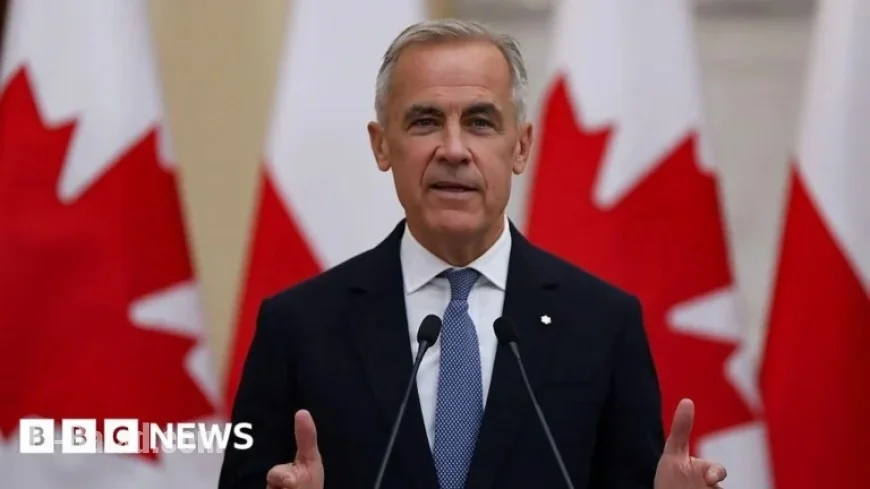 Linguists Criticize Carney for Using British Spelling in Canada