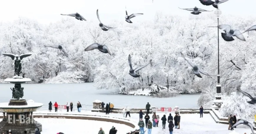 Frigid Winter Weather Hits Nation with Icy Temperatures and Heavy Rainfall