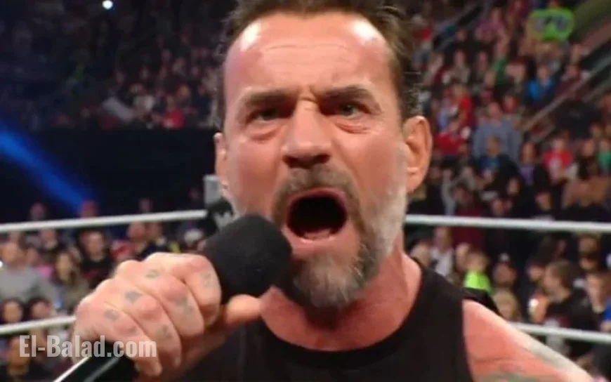 CM Punk Criticizes Steiner Brothers Following AJ Lee Mention on WWE RAW