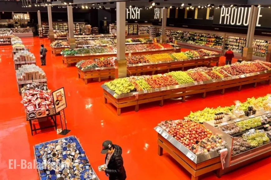 Grocery Code of Conduct Begins Next Month: First Enforcer Faces Major Task