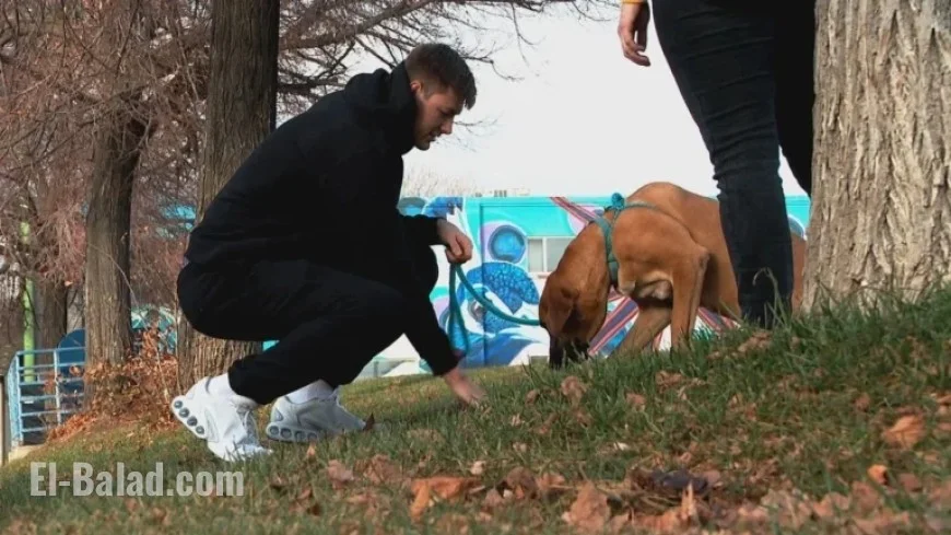 Utah Jazz Star Visits Local Pet Adoption Center for Cuddles