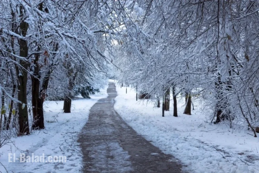 Calgary Faces Icy Forecast with 38-Degree Temperature Shift Coming