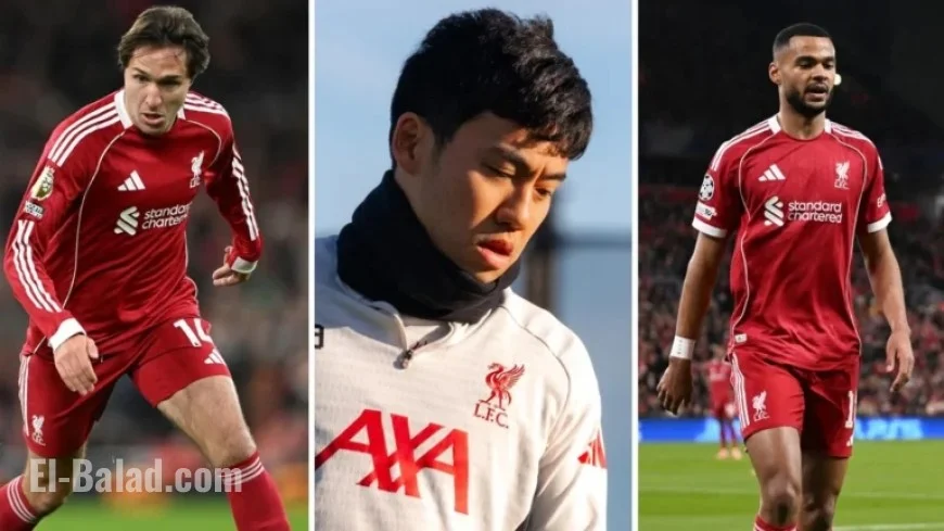 LFC Fitness Update: Chiesa, Endo, Gakpo Injury Status Revealed