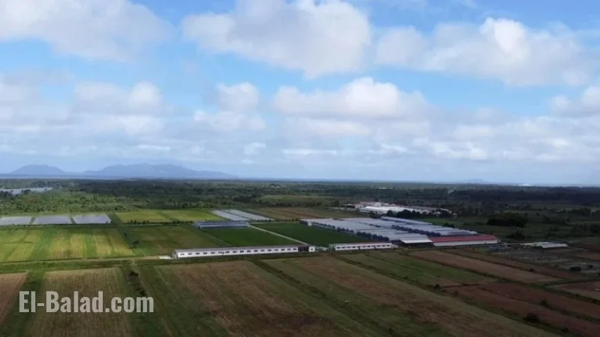 US to Halt Fiji Aid Over Doomsday Cult Impunity