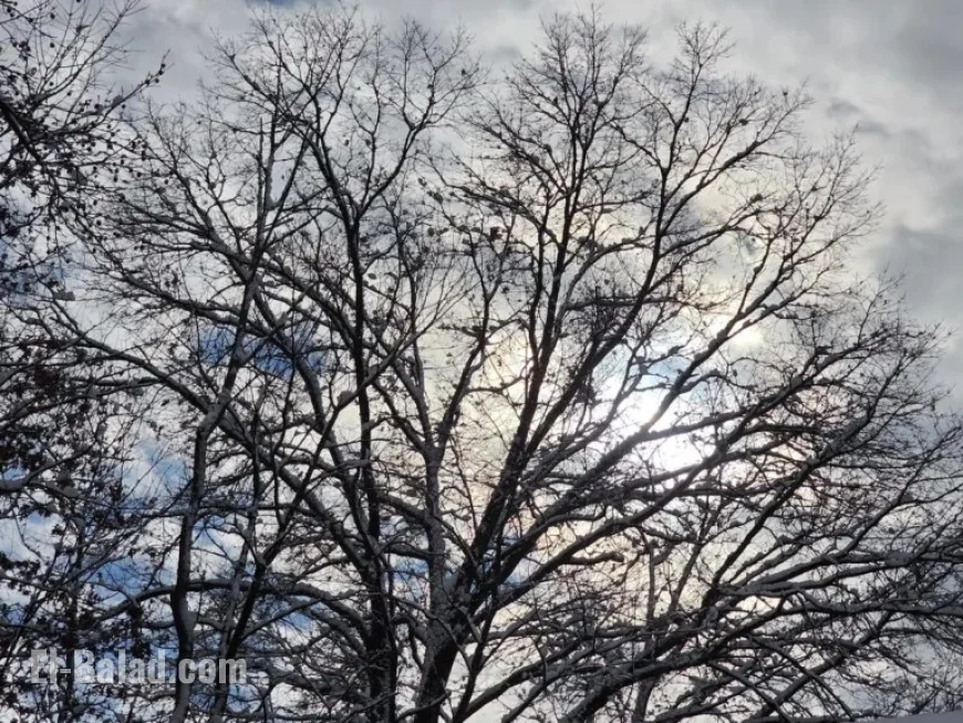 New Jersey Faces Rainmaker After 48+ Hours of Freezing Temperatures