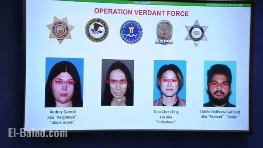 Southern California Terror Plot: Unveiling the Turtle Island Liberation Front