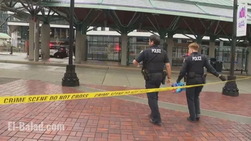 Police Lured by Fake 911 Call, Stabbing Ensues at Bellevue Transit Center