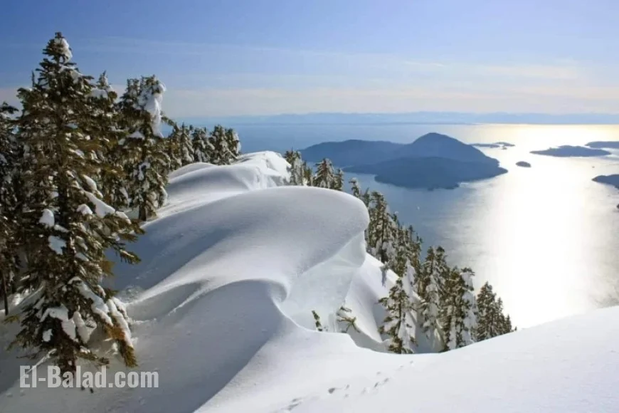 CEC Draw Lowers CRS Cut-off to Record Low for 2025