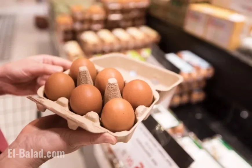 Salmonella Outbreak: Egg Recall Issued After Dozens Sickened, 13 Hospitalized