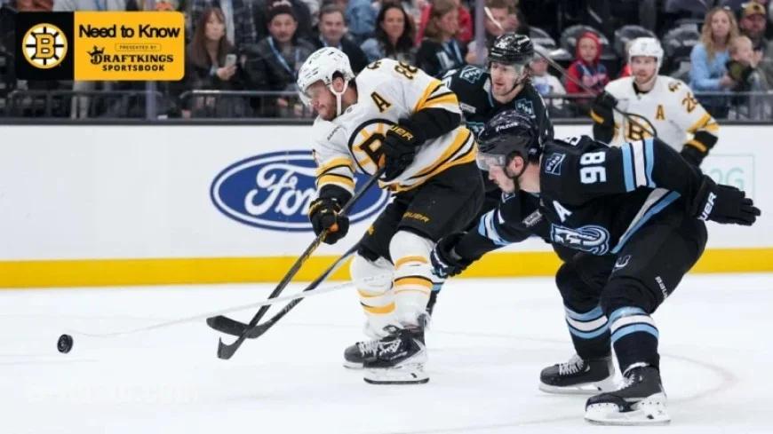 Bruins Face Mammoth: What You Should Know
