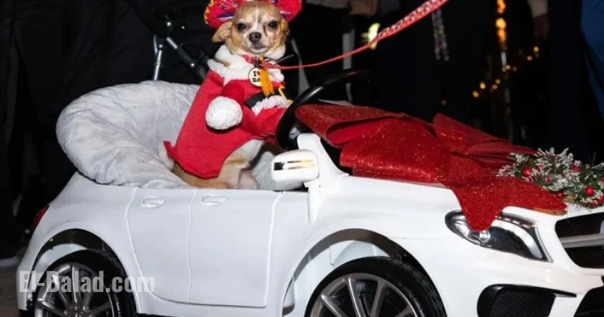 Christmas Island Hosts Vibrant Canine Parade Celebration