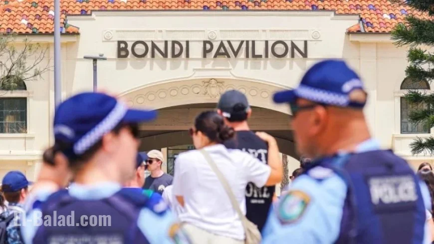 Dashcam Captures Couple Confronting Bondi Beach Gunman Before Deadly Rampage