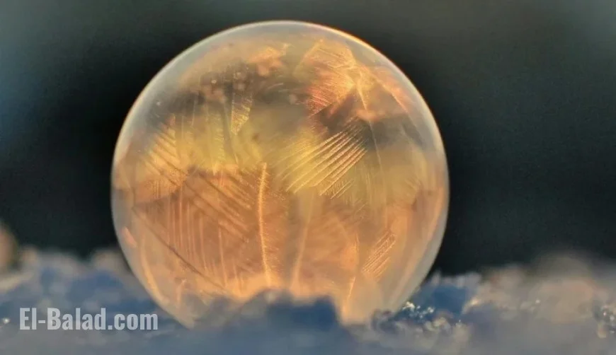 Winter Solstice Arrives: Embrace the Season’s Change