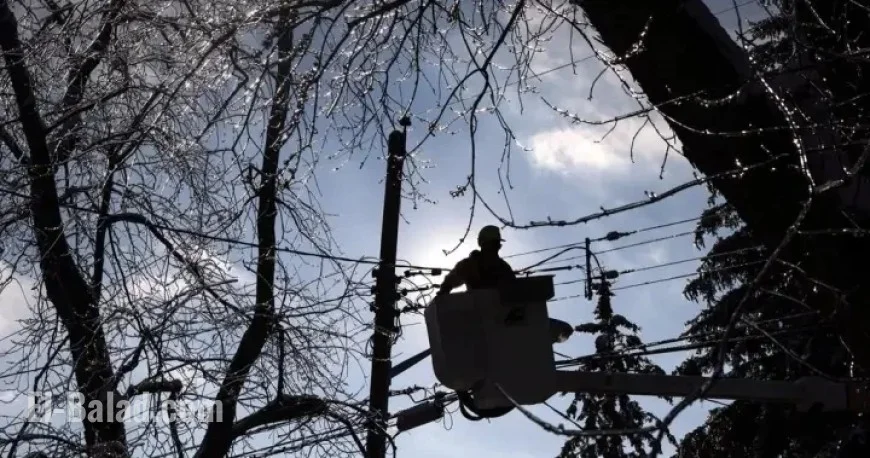 Windstorm Cuts Power for Over 90,000 BC Hydro Customers