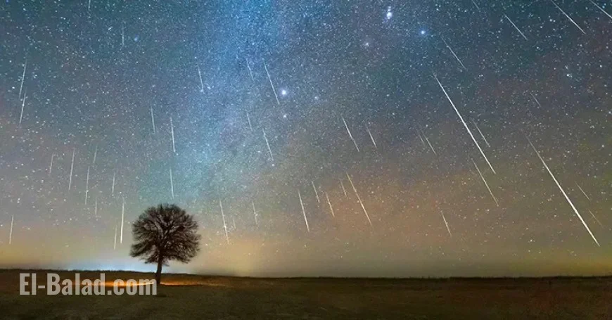 Watch the Year’s Final Ursids Meteor Shower: Viewing Guide
