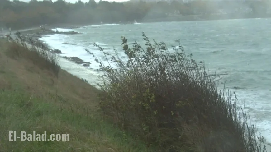 Rain and Wind Warnings Issued for Vancouver Island: Gusts Up to 100 km/h