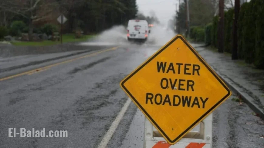 Severe Weather Targets Whatcom County with Power Outages and Heavy Rain