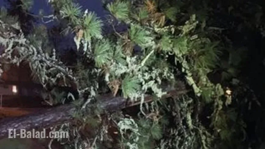 Severe Weather Forces School Delays, Road Closures in Oregon