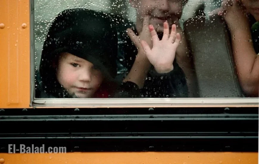 Powerful Winds Topple Powerlines and Trees, Disrupting Oregon Schools Wednesday