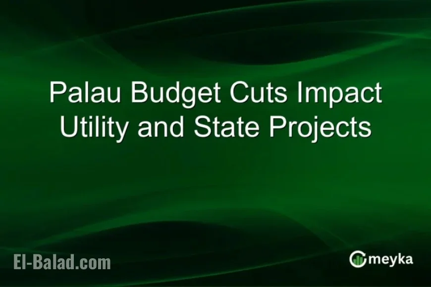 Palau Budget Reductions Affect Utilities and State Projects