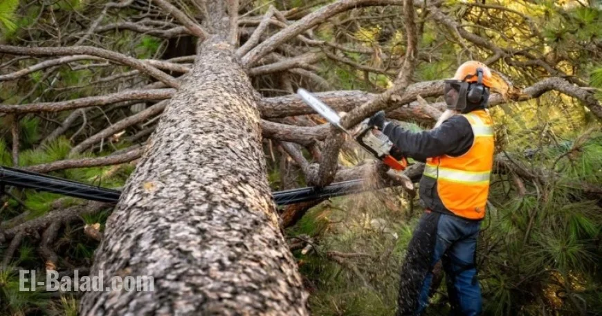 High Winds Leave Nearly 100,000 Without Power in Spokane Region