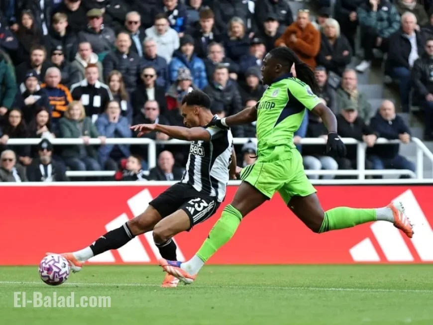 Newcastle vs Fulham: TV Details, Kick-off Time & Team News
