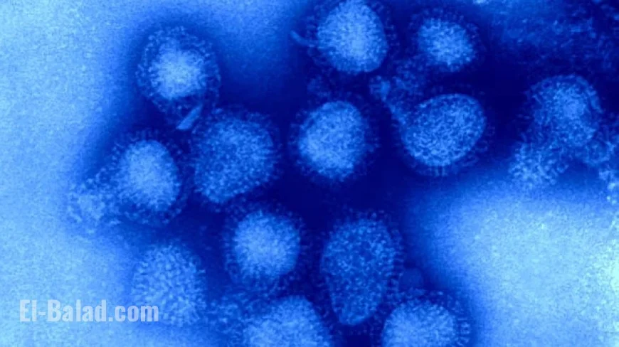 Flu Rates Skyrocket Among Youth; Experts Prepare for Intensifying Outbreak