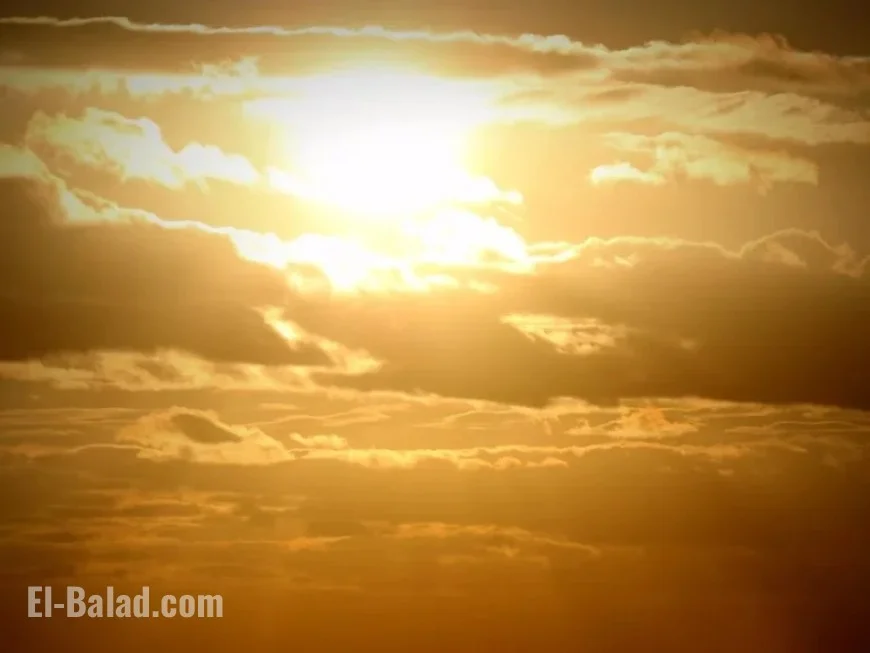 Today’s Kensington Gardens Weather: What to Expect