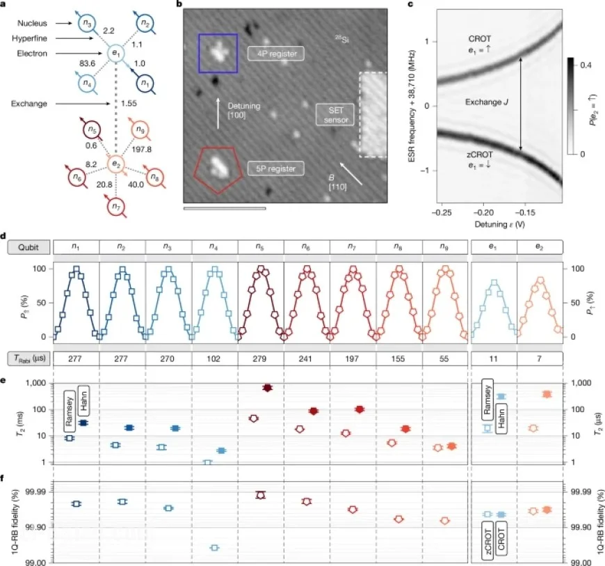 11-Qubit Silicon Atom Processor Unveiled
