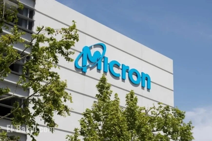 Micron Faces Major Earnings in 2025 as MU Stock Declines